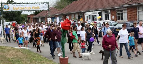 15th Anniversary Buttercup Walk raises over £20,000 with more to come!